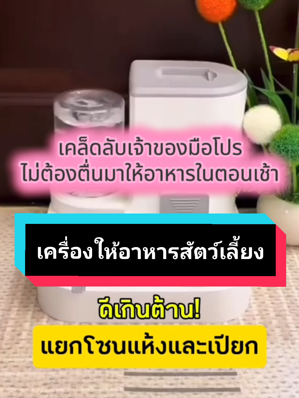 เคล็ดลับเจ้าของมือโปรไม่ต้องตื่นมาให้อาหารในตอนเช้า #ที่ให้อาหาร #เครื่องให้อาหารน้องแมว #เครื่องให้อาหารน้องหมา #ที่ให้อาหารสัตว์เลี้ยง #ที่ให้อาหารและน้ํา 