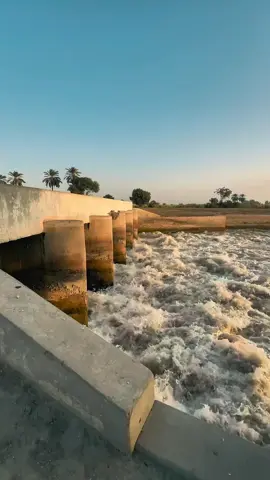 Larkana 🌿 Naudero 🌼 max RECORDS 🎥 #maxrecords  #villagelife #Vlog #sindh ✅