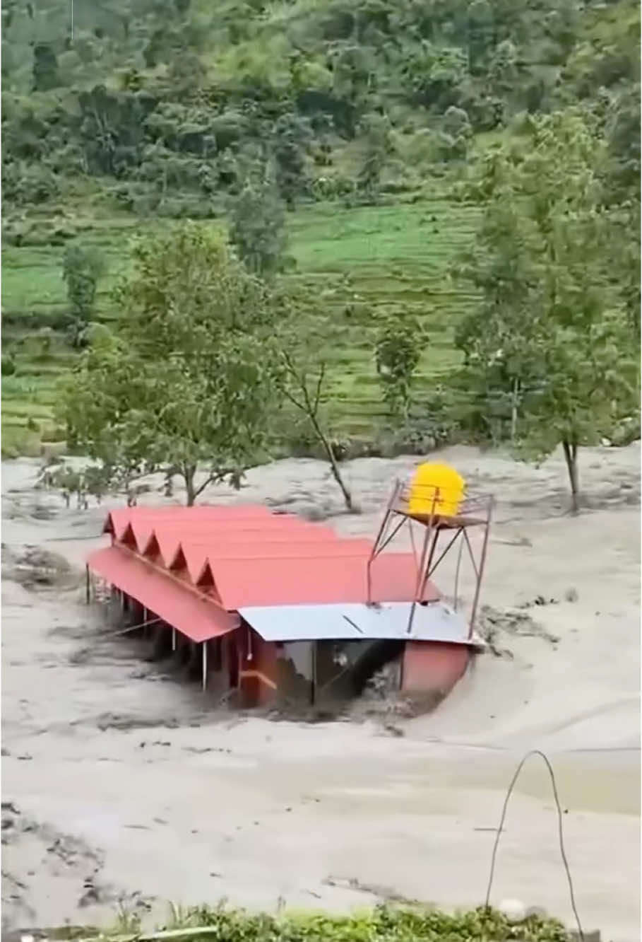 Flash floods #flashflooding #flood #weather #oddlysatisfying 