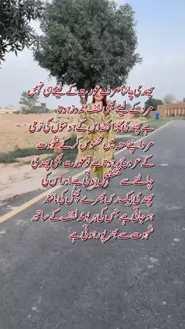 #dancer #lahorepakistan #gandabaccha77 #gandabaccha #mujra #song #school #wapda #pashto #forupage #foruyou #fyp #vehari #funy #reels 