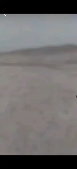 viral