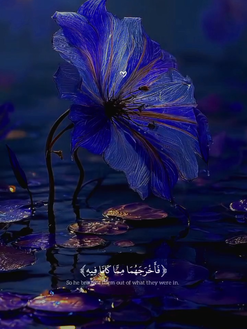 ابداع القارئ الصغير عبدالله احمد شعبان حفظه الله في سوره البقره 🤍🍁.  #القران_الكريم #قران #ارح_سمعك_بالقران #راحه_نفسيه #quran #quran_alkarim #makahmadina🕋 #fyp #foryou #foryoupage 