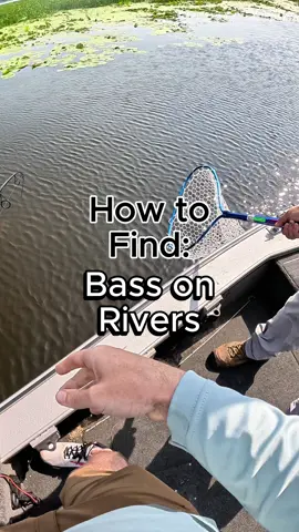 How to find bass on rivers. Tips for finding locations that hold bass on river systems. #fishing #fishingtips #bassfishing #riverfishing #largemouthbass #smallmouthbass 