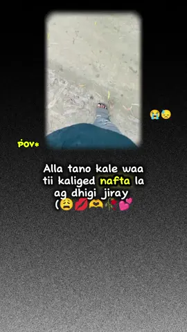 zxb tano kale hada heshid ilaasho pro 🫶😭💋😂#CapCut #100k #viewsproblem😭 #copylink #tik_tok 