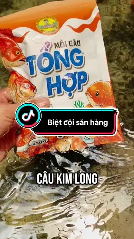 Mồi câu Tổng Hợp Biệt Đội Săn Hàng , mồi câu tổng hợp  #khafishing #moicautonghop #caucatunhien #bietdoisanhang 