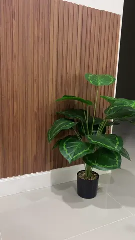 ไม้ระแนงติดฝาผนังบ้าน#เทรนวันนี้ #viraltiktok #tiktok #ไม้ระแนงเทียม 