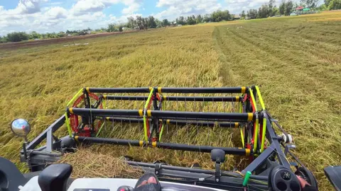 Liu riu ngày vài chục, hết ngày 2 bến cũn đc 6x rỉa long típ🤣😫@fb Thân Plus 🌾🌾 @Fb:Văn Trương Bùi 62D1 @Hậu Sì Tủn📸🌾 @Đen nhỏ@62T1 #xuhuongtiktok #kubota108x #62longan #fyp 