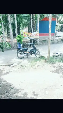 Bismillah.. perlahan tapi pasti