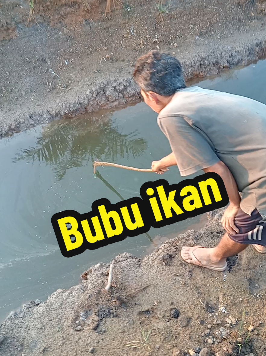 Perangkap ikan murah mudah bubu payung ada banyak pilihan lubang#bubuikan#bubupayung#perangkapikan 