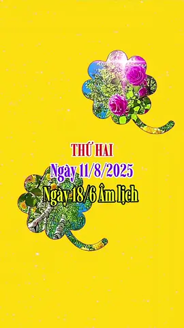 Chào Ngày Mới #ngaymoivuive 