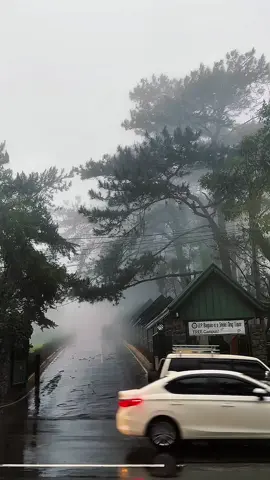 Yung bigla-bigla mo namimiss ang cold weather ng Baguio. Those cold college days in UP Baguio.  #baguio #upbaguio #reels #fyp 