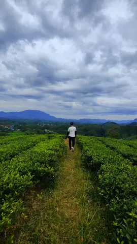 #CapCut 19 quê tôi mãi đỉnh #xuhuongtiktok #cảnhđẹpviệtnam #canhdepthiennhien #phútho19🇻🇳 