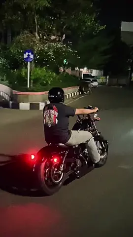 #sportster48 #harleydavidson 