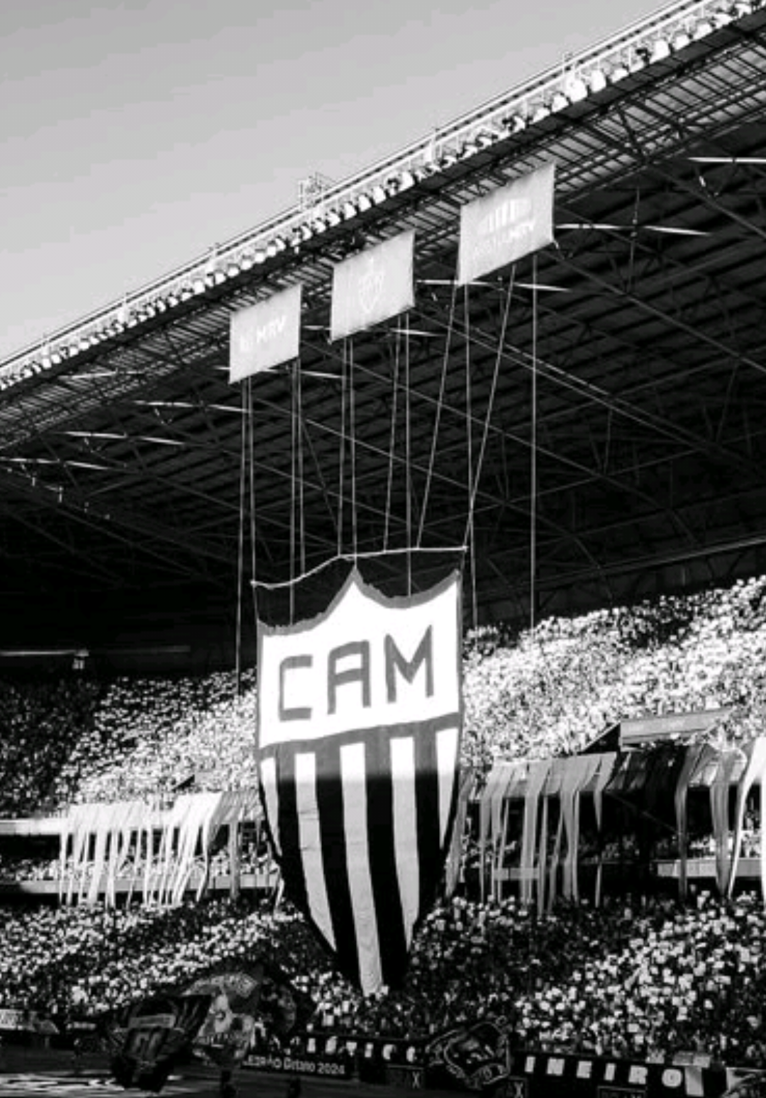 não se torna atleticano, se nasce! 🐔 #atleticomineiro #galo #atleticomineiroedits #galoucura #atleticomineiro🖤🐓  #maiordeminas #futebolbrasileiro 