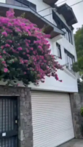 ගොඩක් කොල්ලන්ගේ ෆැන්ටසිය ඇතුලේ තිබ්බේ රෝද දෙක විතරයි😎❤️ #creatorsearchinsights #sbtracker250cc #kawasakidtracker #srilanka #fppppppppppppppppppp #viral 