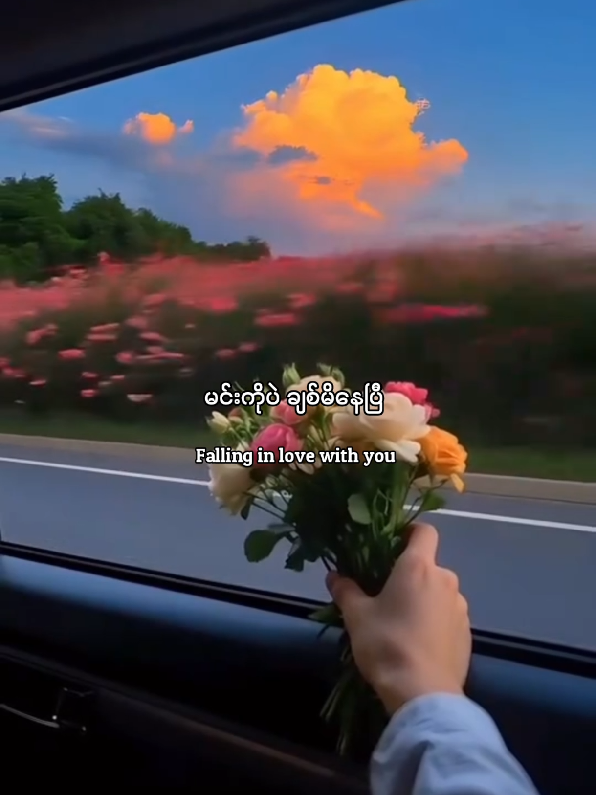 fools (can't help falling in love) Song by Foster, Sarcastic Sounds, and Sody ‧ 2020 #tiktok #mmsub #foryou #lyrics 