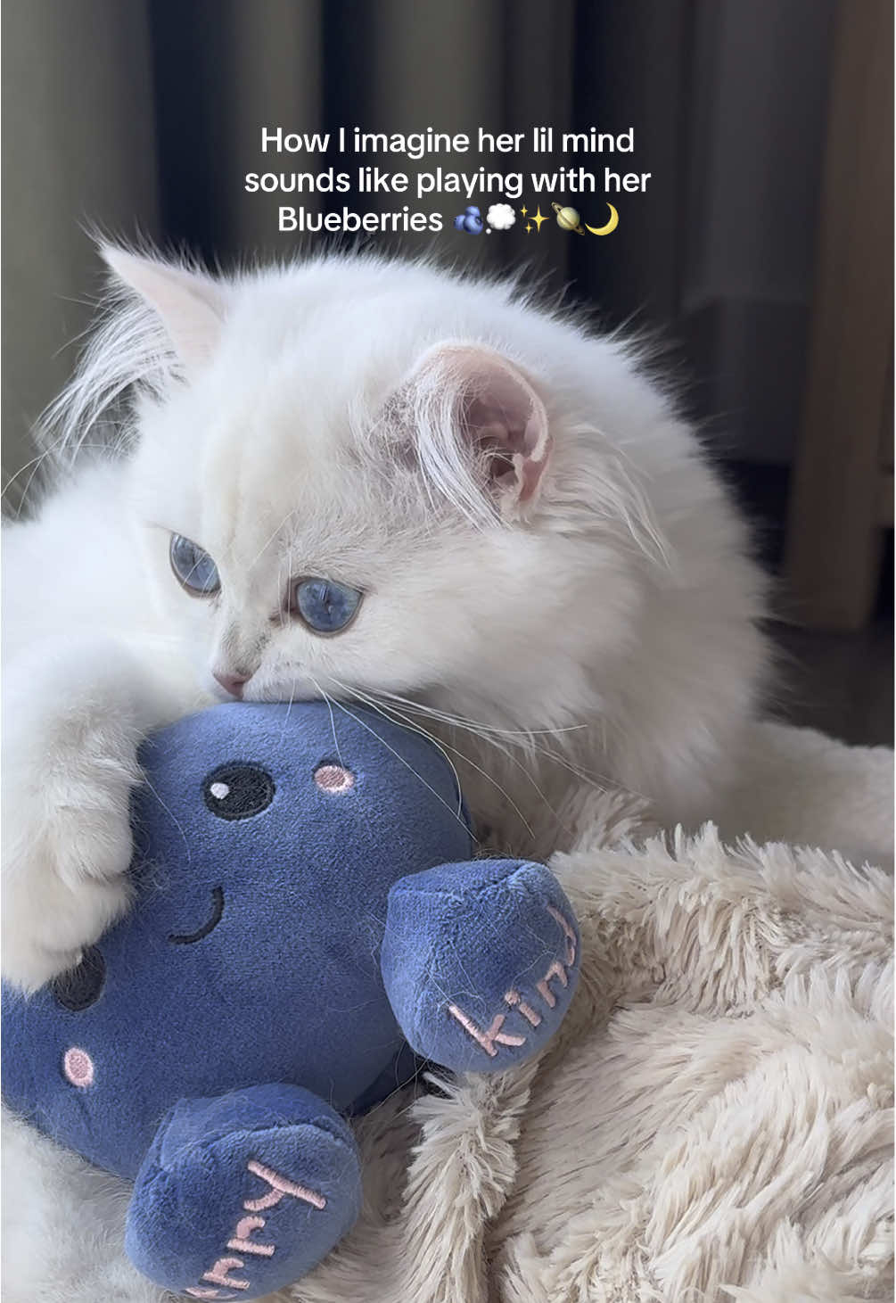 Any guesses why we named her Blueberry? 🤭