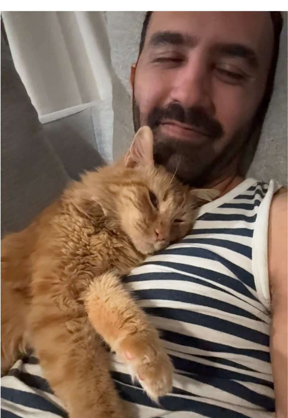 My little soda pop #catdad #catlife #cats #guyswithcats 