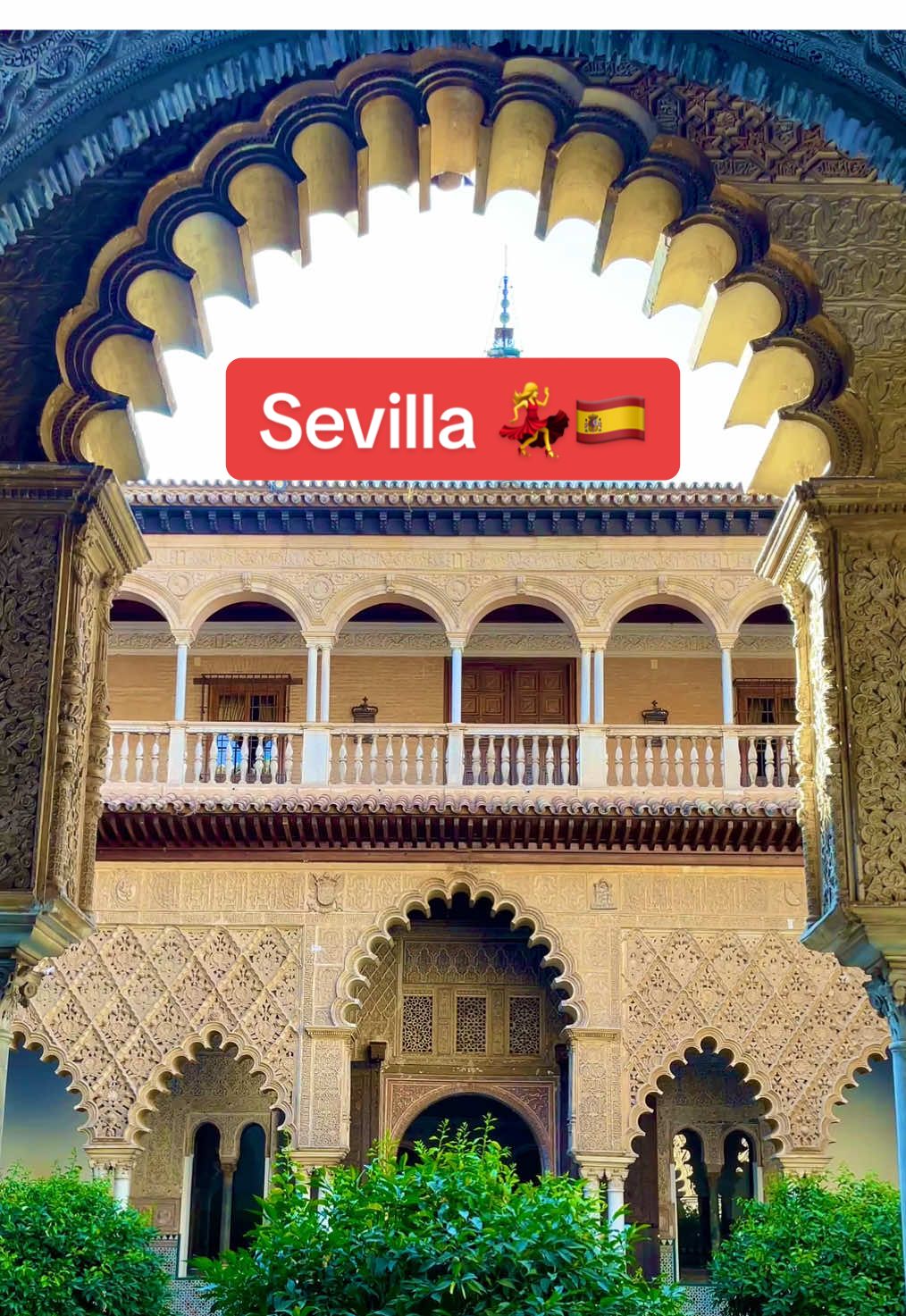 Real Alcazar of Sevilla, a must see in Sevilla 🇪🇸💃💃💃  #sevilla#flamenco#realalcazar#andalucia#traveltiktok 