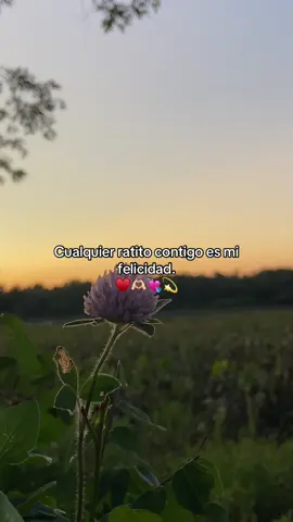 ❤️🥰 #paratiiiiiiiiiiiiiiiiiiiiiiiiiiiiiii #amor #mifelicidad #teamo #frasesparadedicar❣️💕 #teamo #🥰 #❤️ #musicas #videosparadedicar♡ #fypシ 
