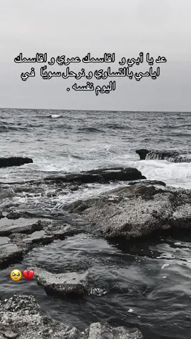 منذ ذهابك و جانب من قلبي مُصاب دائما لا يلتئم 💔 #فقيد #أبي #ابوي #الجنه #الفقد #اكسبلور #اكسبلورexplore #تيك_توك #ترند #ترند_تيك_توك #جزائر #يارب_دعوتك_فأستجب_لي_دعائي #ارحمنا_برحمتك_ياارحم_الراحمين #ftpシ #fyp 