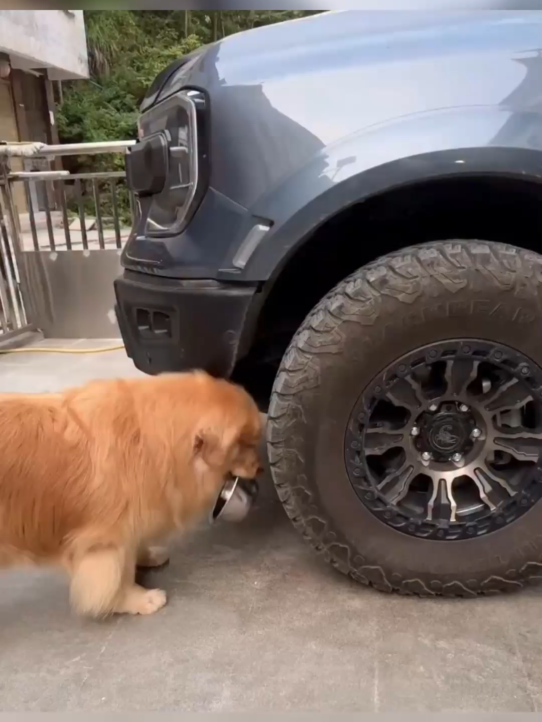 เจ้าหมาตัวนี้ทำทุกทางเพื่อให้ได้อยู่กับเจ้าของ #ทาสหมา #ทาสหมาทาสแมว #สุนัขแสนรู้ #สัตว์เลี้ยงแสนรัก #สัตว์เลี้ยงน่ารัก #ไวรัล #viral #คลิปไวรัล