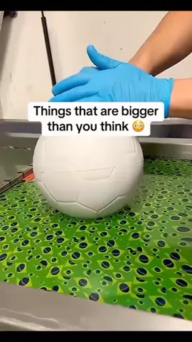 things that are bigger than you think 😮#fy 