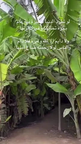 #dute#foryou#fyp#اكسبلور tiktok#foryoupage❤️ #اكسبلورexplore #اكسبلور #tiktok #اكسبلورexplore 