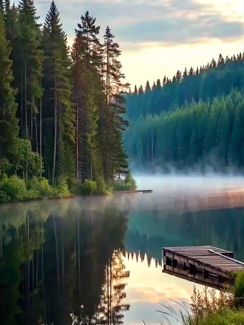 🌿MotherNature🌼Landscape🍀대자연뷰