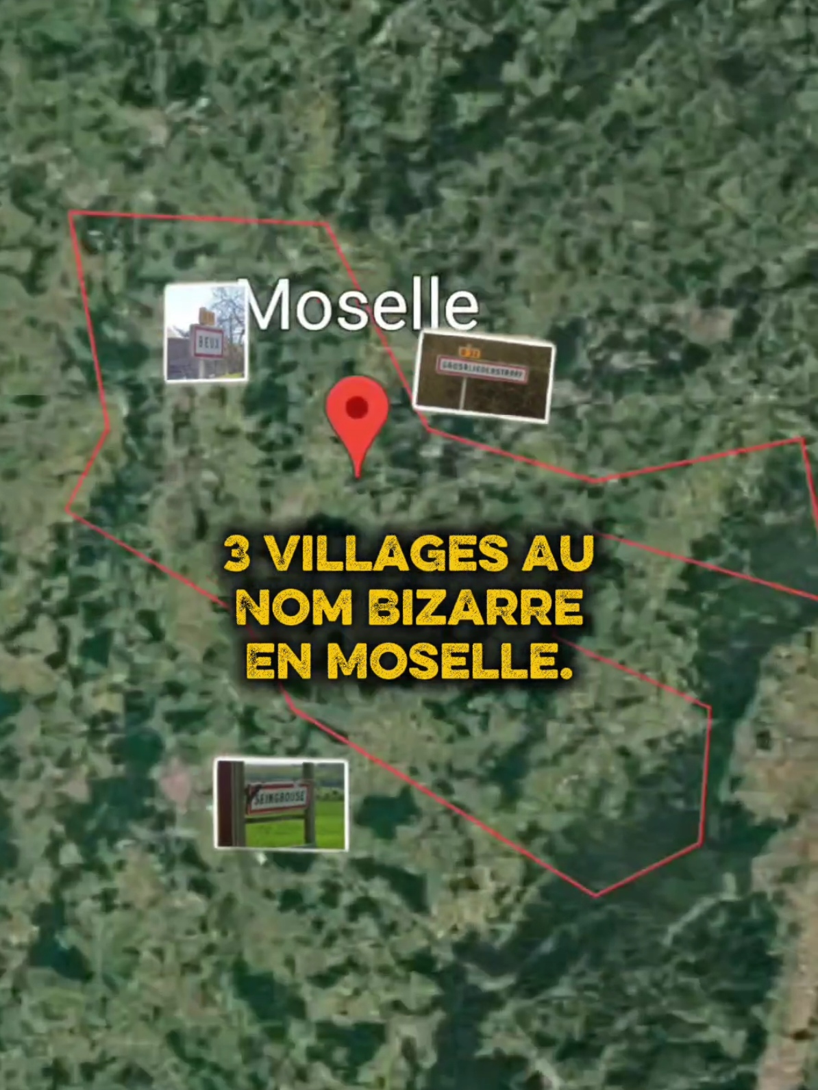 Réponse à @lalorraine1 Seingbouse, village de Moselle situé entre Forbach et Saint-Avold, incarne parfaitement la Lorraine rurale, entre héritage minier et paysages vallonnés. Entouré de petites communes comme Cocheren, Rosbruck, Morsbach, Behren-lès-Forbach, Farébersviller, Freyming-Merlebach ou encore Hombourg-Haut, il forme un tissu de villages marqués par l’histoire industrielle de la région. Les anciennes cités minières, les corons, les églises et les puits de mine reconvertis rappellent le passé ouvrier de ce secteur frontalier. À quelques kilomètres, Petite-Rosselle abrite le musée Les Mineurs Wendel, témoin majeur de cette mémoire collective. Plus à l’ouest, on retrouve Carling, Diesen, L’Hôpital, Biding, Barst et Macheren, des villages où tradition, patrimoine et ruralité s’entremêlent. La campagne environnante, alternant forêts, champs et plans d’eau, invite à la détente et à la découverte. Seingbouse s’inscrit dans une Moselle profonde, authentique, loin des circuits touristiques classiques, où chaque village raconte un pan de l’histoire locale. Une immersion dans une Lorraine vivante, entre mémoire, nature et identité régionale forte. #Lorraine #Moselle #Seingbouse #SaintAvold #Forbach #FreymingMerlebach #PetiteRosselle #HombourgHaut #PatrimoineMinier #VillagesLorrains #TourismeMoselle 