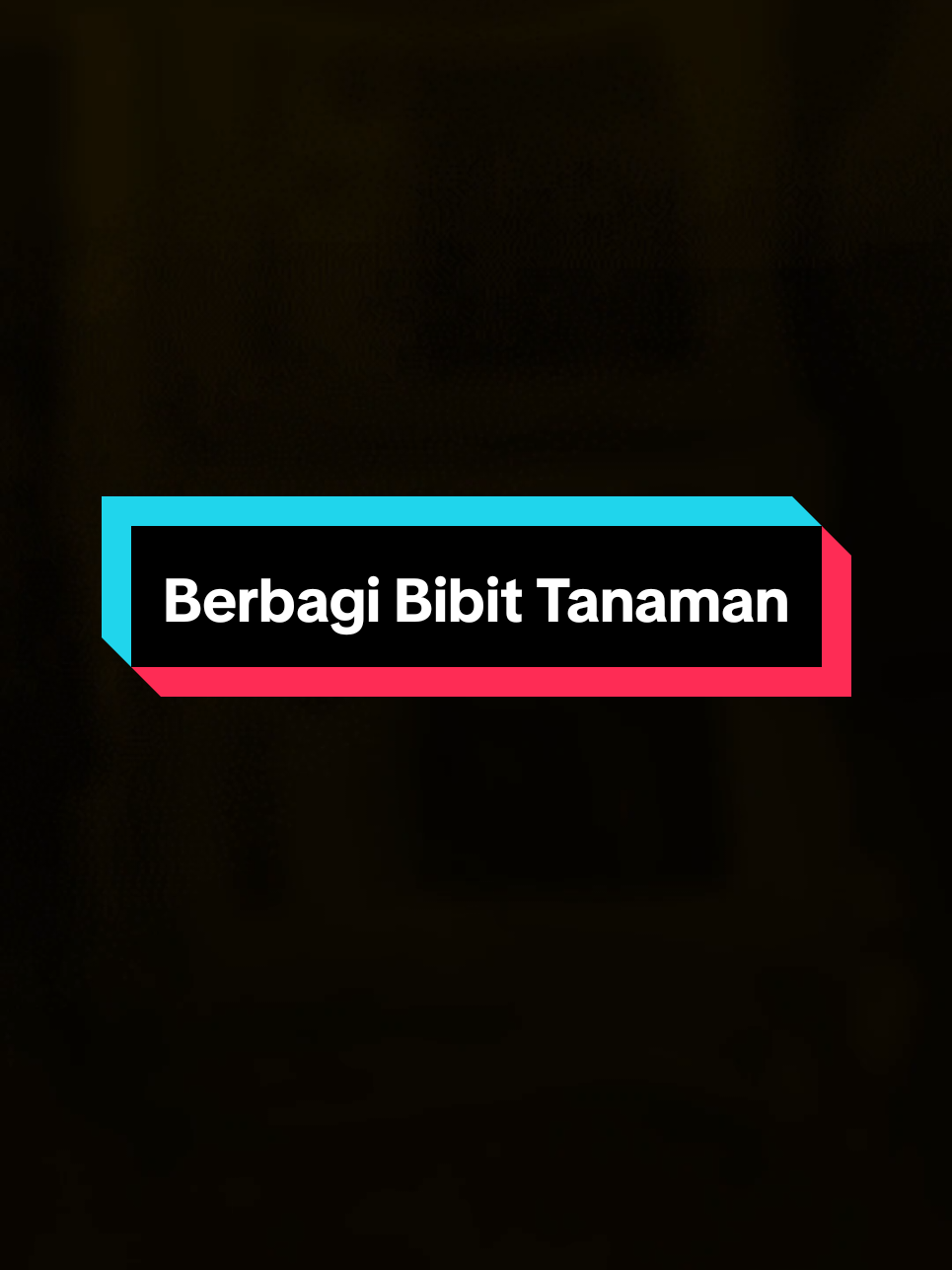 Berbagi Bersama Senandhika (BBS), membagi bibit berbagai jenis tanaman kepada warga #kkn2025 #fyp #senandhika147 #uinjkt #kknuinjkt #kabupatentangerang #rancagonglegok 