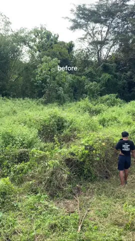 semak belukar #fyp #beforeandafter #masukberanda #lomba17agustus #promomakanmerdeka 