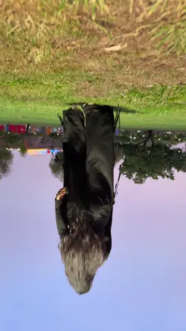 😂😂😂😂something new #dubaitrendingvideoforyou💯💯💯 #foryou #foryoupage❤️❤️ #foryoupageofficiall #goviral 