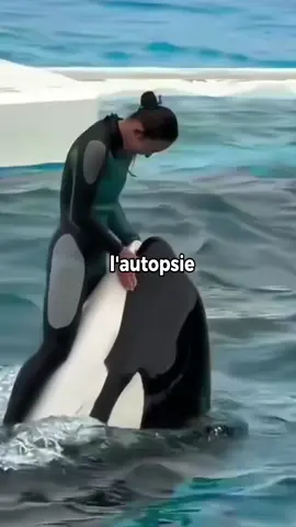 Ce que lamine yamal a dit après la mort de jessica #foot #lamineyamal #jessica 