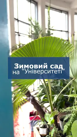 🌿Зимовий сад на станції 