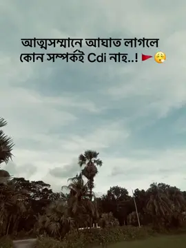 🚩😮‍💨#caption #trending #video #foryoupage #tiktok #