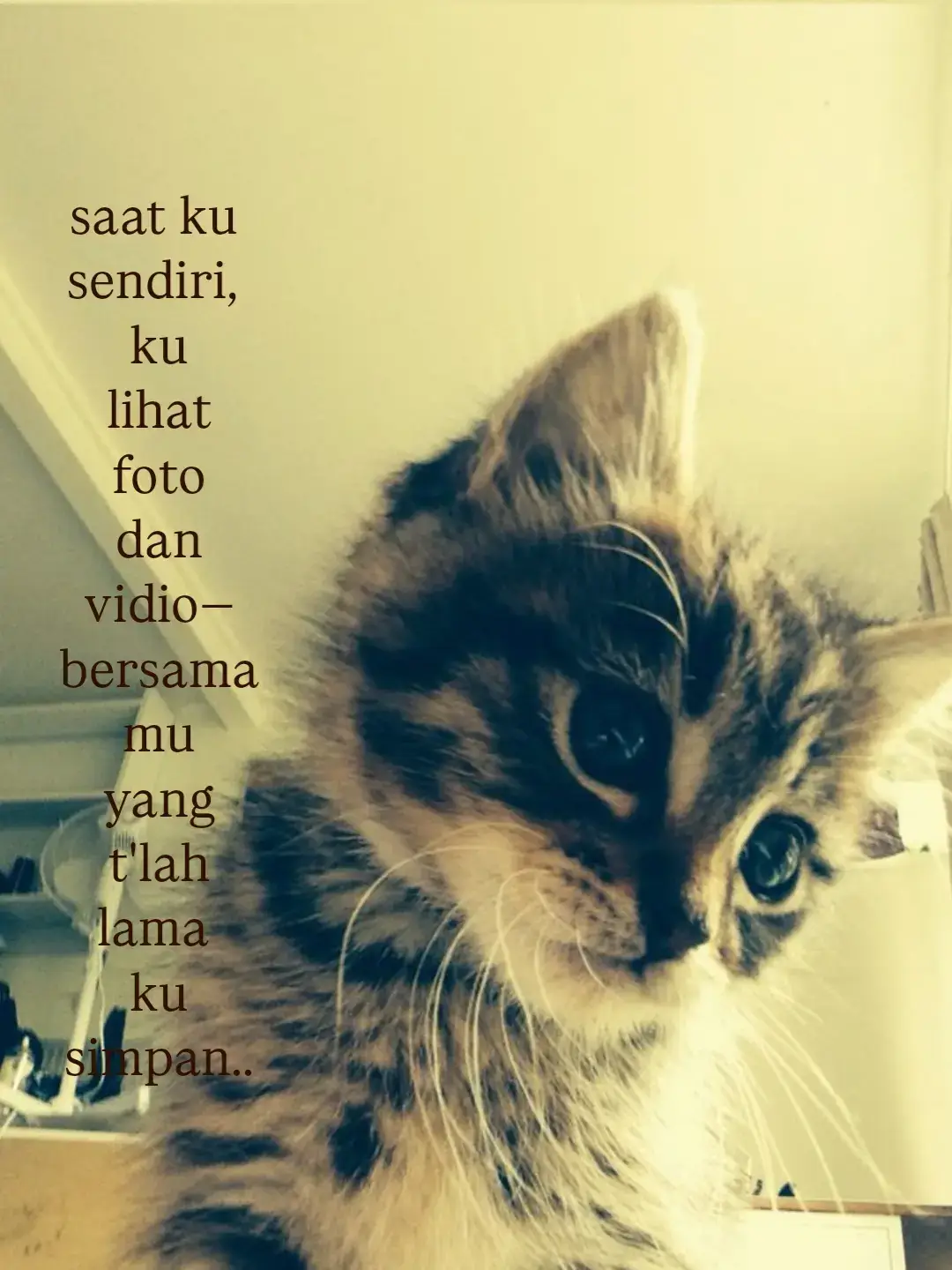 seingat aku kamu ga mau ninggalin aku sendiri, dan seingat aku kamu janji kita bakal terus sama-sama sampai kapanpun, kamu lupa ya? kenapa? kenapa kamu buat aku sehancur ini? padahal aku udah kasih semuanya sama kamu, aku udah lakuin apapun buat kamu, bahkan ngeliat kamu susah aja aku ga tega, tapi kamu? kamu kok setega ini sama aku? aku mencintaimu habis-habisan, sampai pada akhirnya aku yang habis. Ternyata balasan cinta yang ga pernah nuntut apaapa itu dibikin hancur sehancurnya.