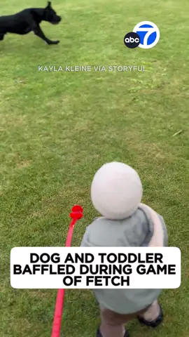 A dog and a toddler were left in shock during a game of fetch when the ball suddenly ... disappeared. Fortunately, the ball didn’t go far. And mom was there to help solve the mystery.