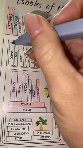 Bible time is my favorite time of day! ✝️🤍#christiantiktok #christiangirl #bibletime #sunrise #bibletok #jesuslovesyou 