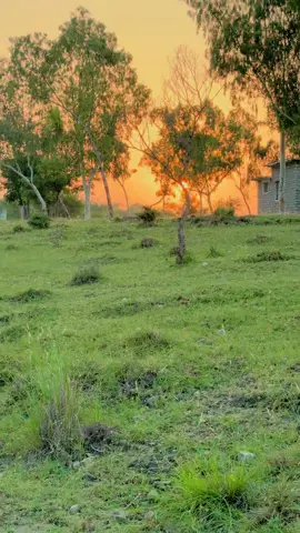 Beautiful eve  #eve #punjabi #punjab #song #nusratfateh #nature #natural 