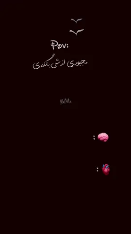 ریپوست بزنین وطندارا🙂👋🏽                                  ོ                                               #viral_video #tik_tok #for 