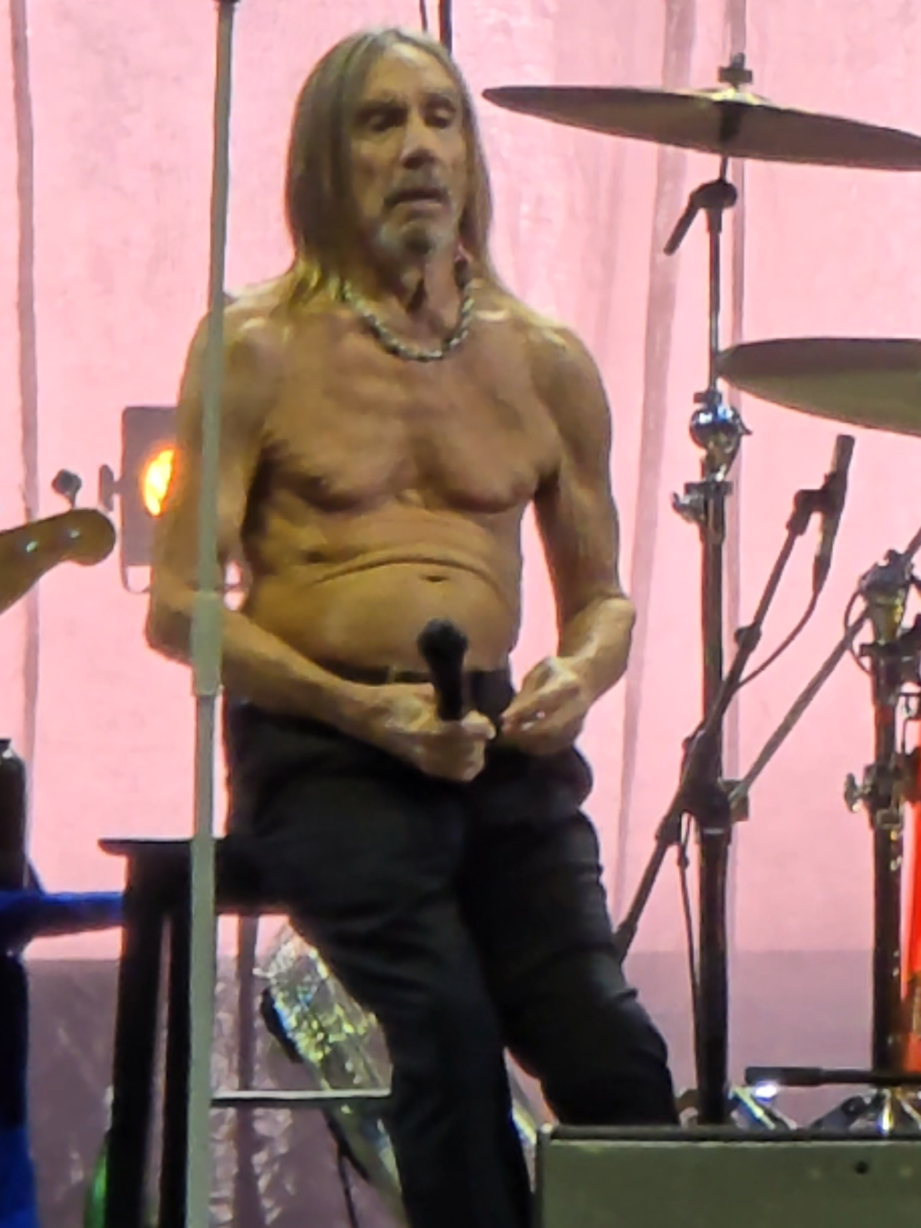 Lust for life by Iggy Pop #radek  #iggypop  #iggy  #lustforlife  @Iggy Pop 