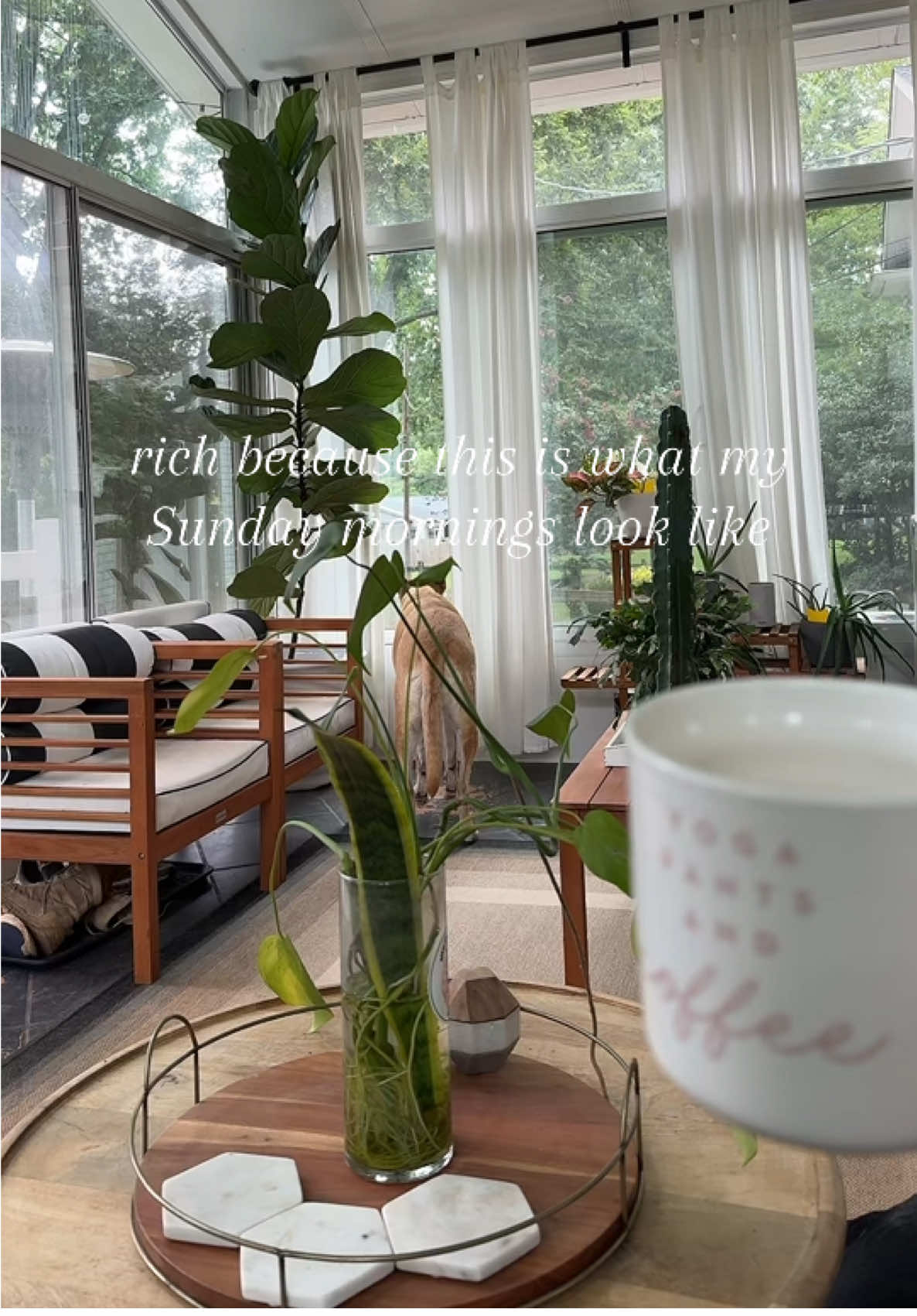 If TikTok has taught me anything, it’s to romanticize all aspects of your life. It’s crazy what that mindset will do for you.  #plants #romanticizeyourlife #morningcoffee #coffee #fyp 