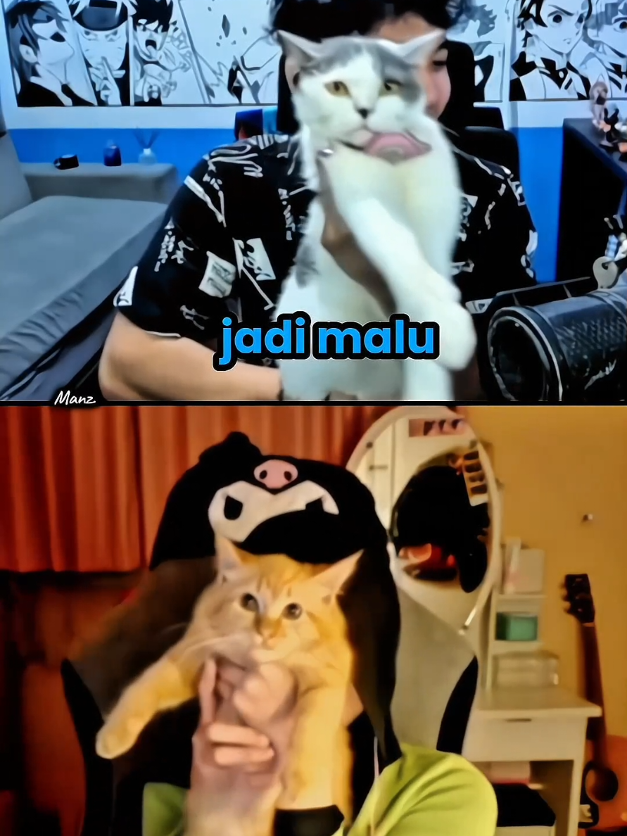 Baru kali ini liat ino salting🤭, bisa aja kamu wagurii ahh gombalnya, miki dan kukis: apipii😻 @bumblebee_ @Wielino Ino  #wielinoxtamara #wielinoino #kesyatamara #wielino #tamara #fyp 