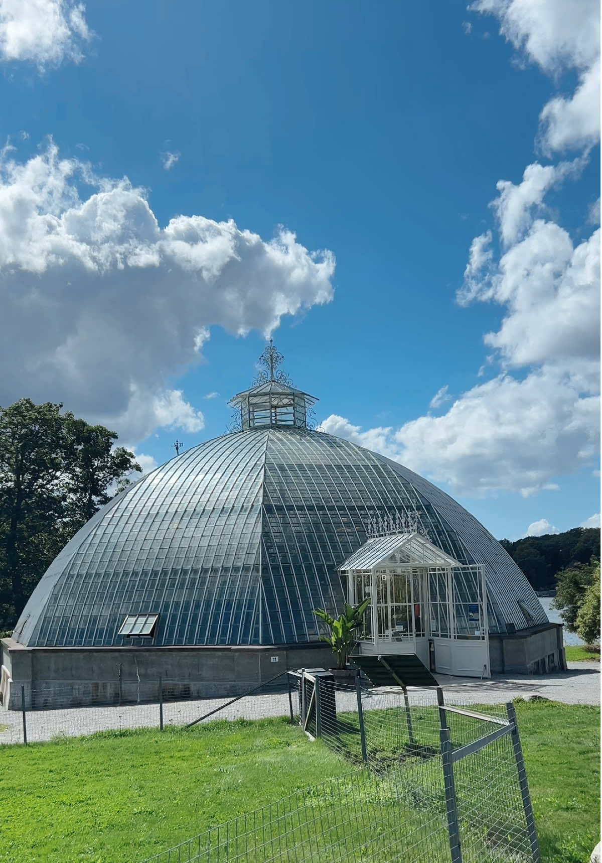 🇸🇪Victoria huset💚 📍Bergianskaträdgården #stockholm #victoriahuset #sweden #sverige #sthlm 