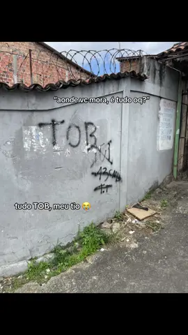 tudo TOB🌪️ #bamor #torcidaorganizada #fyp #fy #explore 