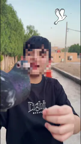 ############لايكككككك ##############ًًًًًً