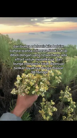 ya begitulahh#ciremai3078mdpl #fyp #pendakiindoneisa #gunungciremaiviasadarehe 