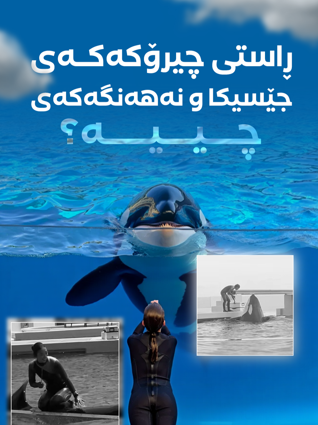 ئایا ڕاستی ئەم چیرۆکە چییە کە تیکتۆکی تەنیوە و هەمووانی بێزار کردووە؟ ئەمە دواین بازدانی جێسیکا بووە بەهۆی ئەوەی لە سووڕی مانگانەدا بووە نەهەنگەکەی کوشتوویەتی