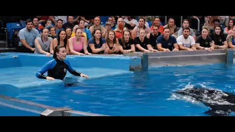 jessica 😭😭😭 #orcas #trending #foryoupage #orcas #trending #foryoupage